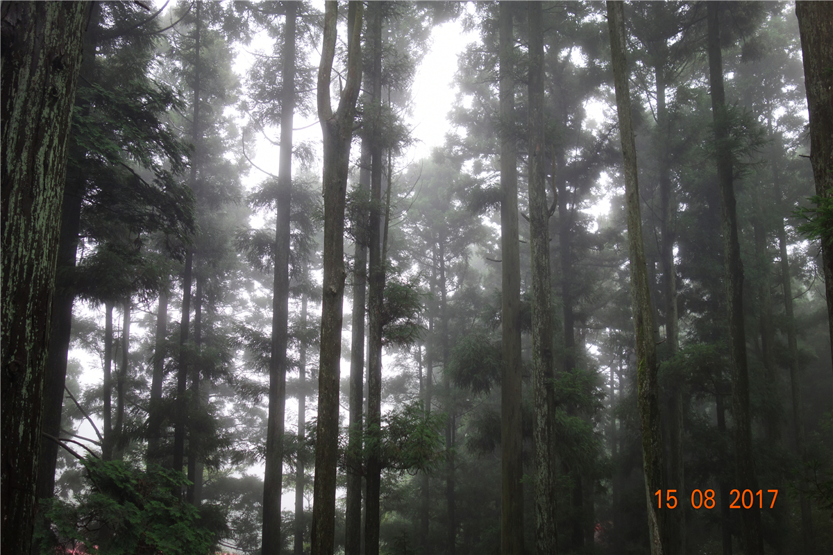 首页|尊龙人生就是博官网入口