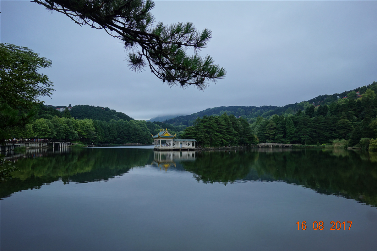 首页|尊龙人生就是博官网入口