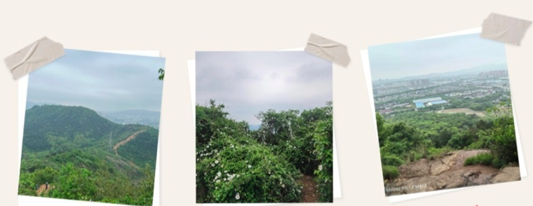 首页|尊龙人生就是博官网入口